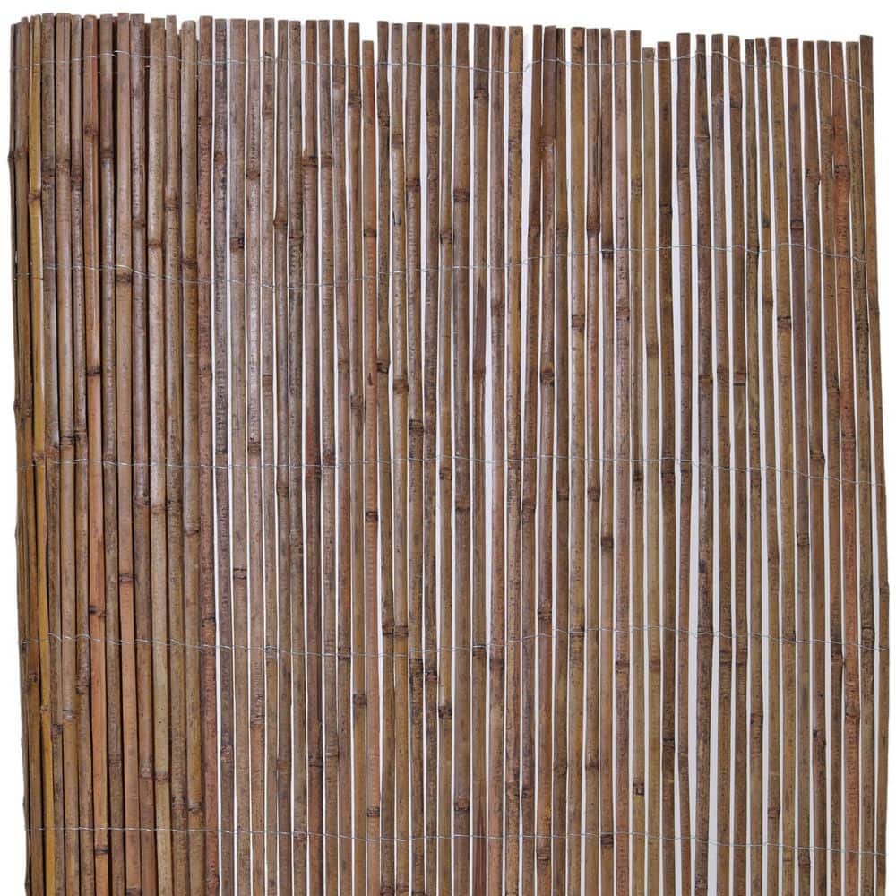 Backyard X-Scapes 16-ft x 6-ft 0.75-Gauge Brown Wood Bamboo Fencing Rolled  Fencing in the Rolled Fencing department at