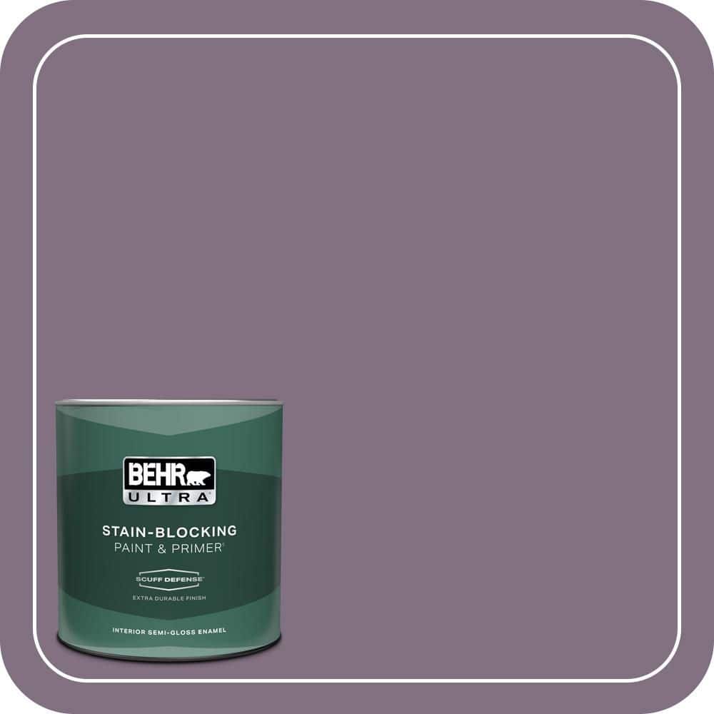 1 qt. Home Decorators Collection #HDC-SP14-9 Decorative Iris Extra Durable Semi-Gloss Enamel Interior Paint & Primer product image for price tracking