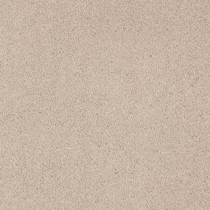 Appreciate II  - Chenille - Beige 58 oz. Triexta Texture Installed Carpet