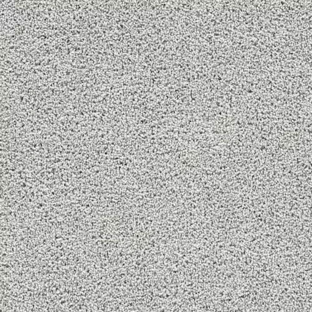 8 in. x 8 in. Texture Carpet Sample-Friendship Fables-Color Whimsy price history on PriceWatchPro