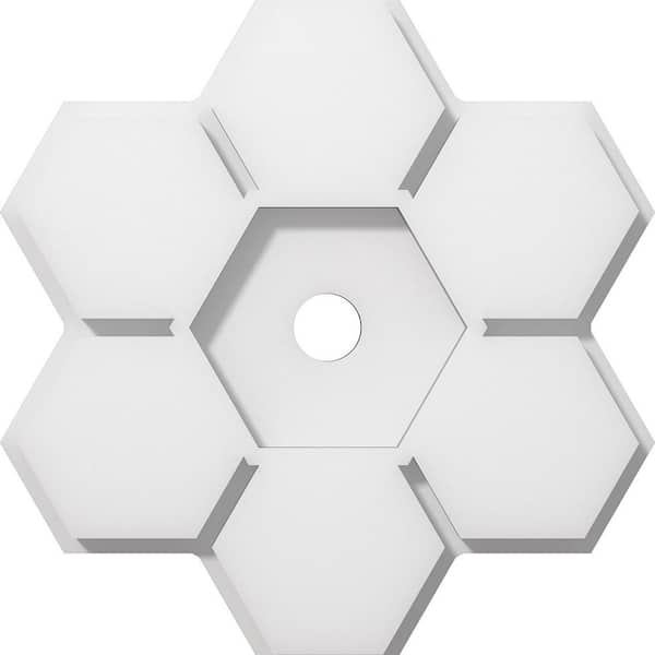 Ekena Millwork 1 in. P X 3-1/2 in. C X 10 in. OD X 1 in. ID Daisy Architectural Grade PVC Contemporary Ceiling Medallion