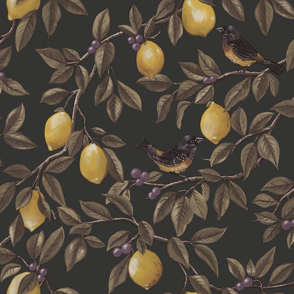 Ponderosa Lemon Trail Charcoal Non-Pasted Wallpaper (Covers 56 sq. ft.)