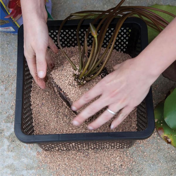 Aquatic Plant Basket