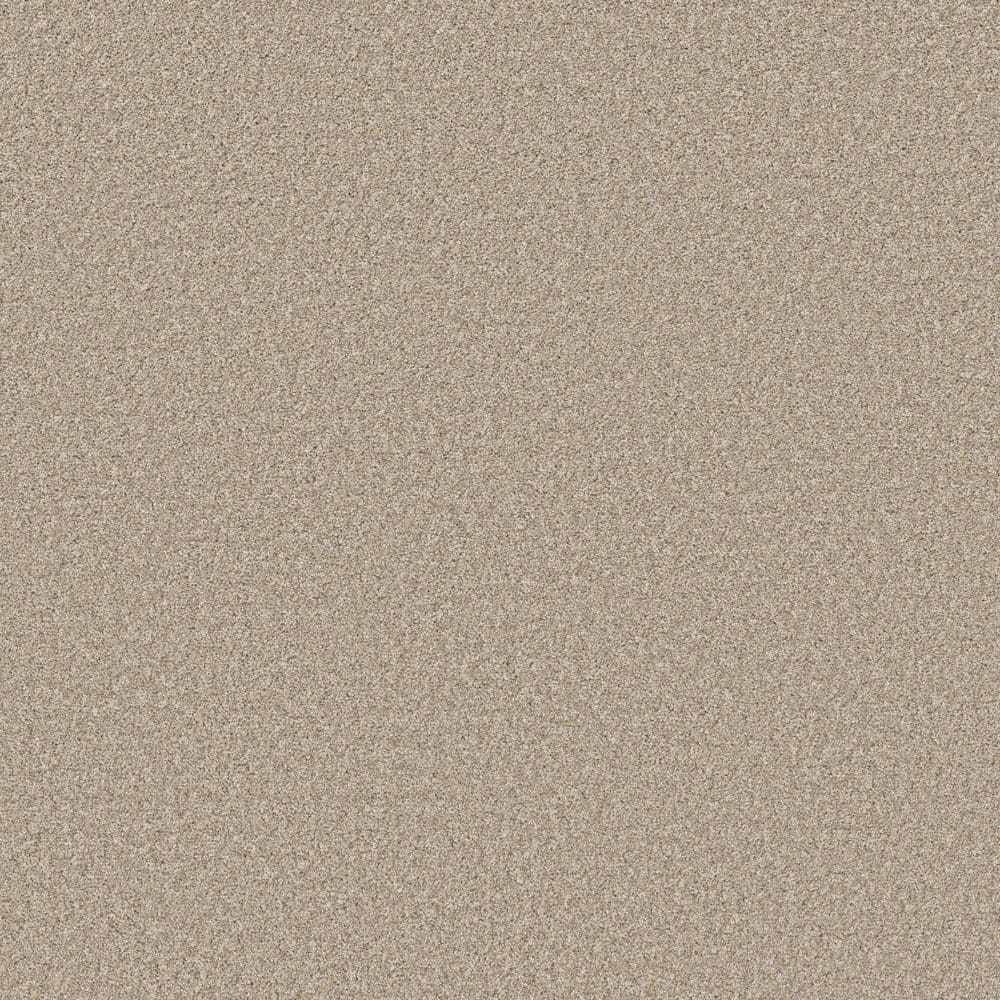 8 in. x 8 in. Texture Carpet Sample - Cuddle Cakes I - Color China Silk price history on PriceWatchPro