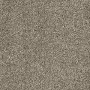 Chastain II - Springmont - Beige 60 oz. SD Polyester Texture Installed Carpet