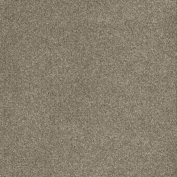 Home Decorators Collection Chastain II - Springmont - Beige 60 oz. SD Polyester Texture Installed Carpet