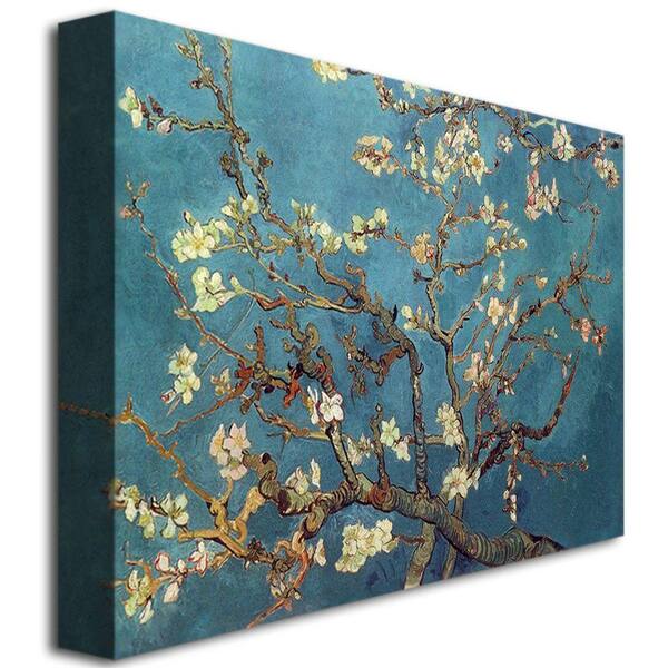 Trademark Fine Art 35 in. x 47 in. Almond Blossoms Canvas Art 