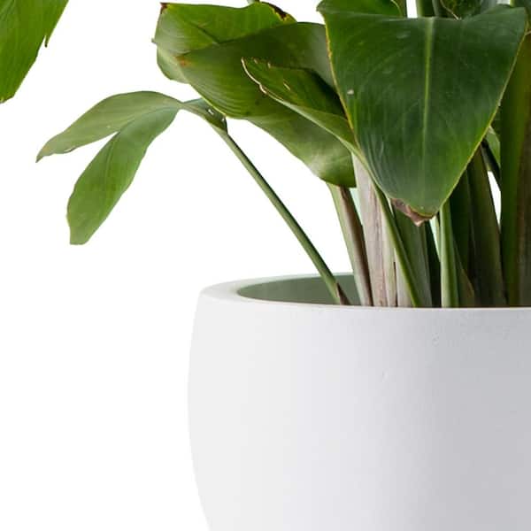20 in., 16 in. and 12 in. W Pure White Concrete Round Elegant Planters (Set of 3), Outdoor Indoor Modern Planter Pots