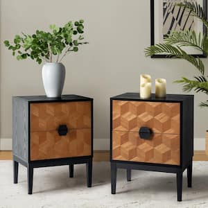 Pulang Modern Black 2-Drawer 25 in. Tall Nightstand with Charging Station and Adjustable Legs (Set of 2)