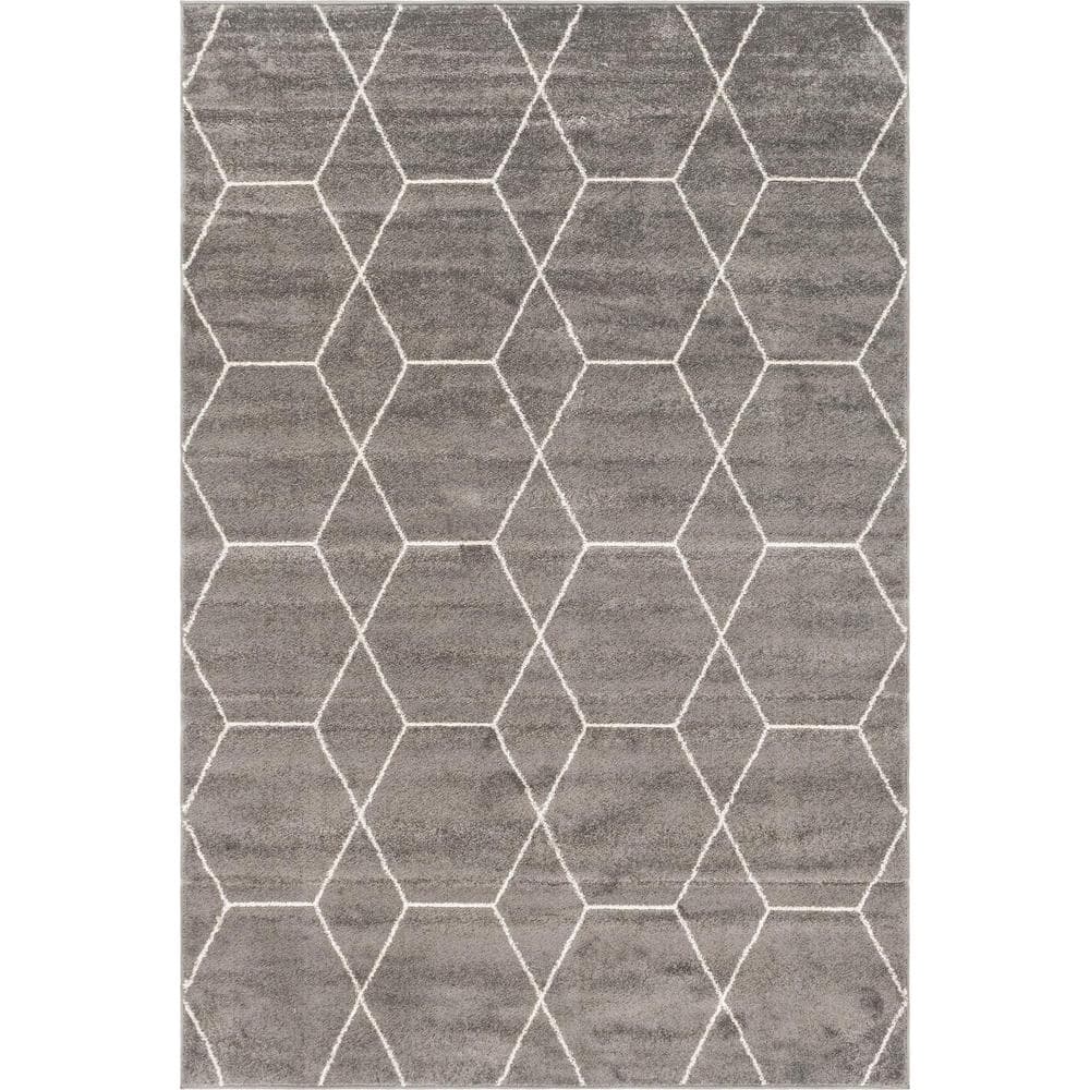 Dark Gray and Ivory Geometric Trellis 6' x 9' Area Rug
