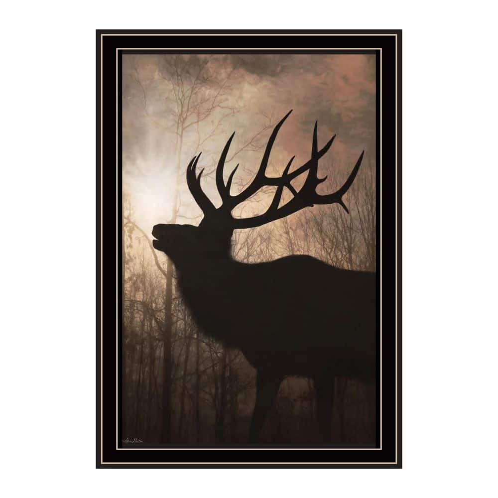 1-Piece Framed Graphic Print Landscape and Nature 20.00 in. x 14.00 in. price history on PriceWatchPro