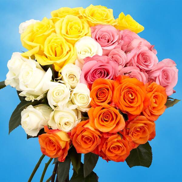 Globalrose Fresh Assorted Color Roses (50 Stems)
