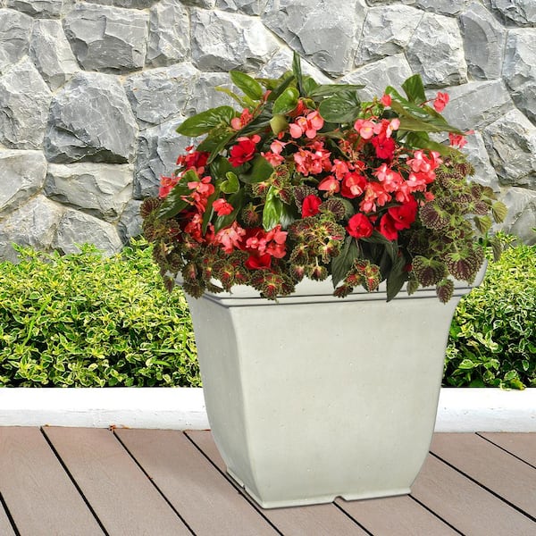 https://images.thdstatic.com/productImages/cec80753-4505-4e63-8c5b-5958f0af0c6f/svn/polar-white-vigoro-plant-pots-hd1437-598r-1f_600.jpg