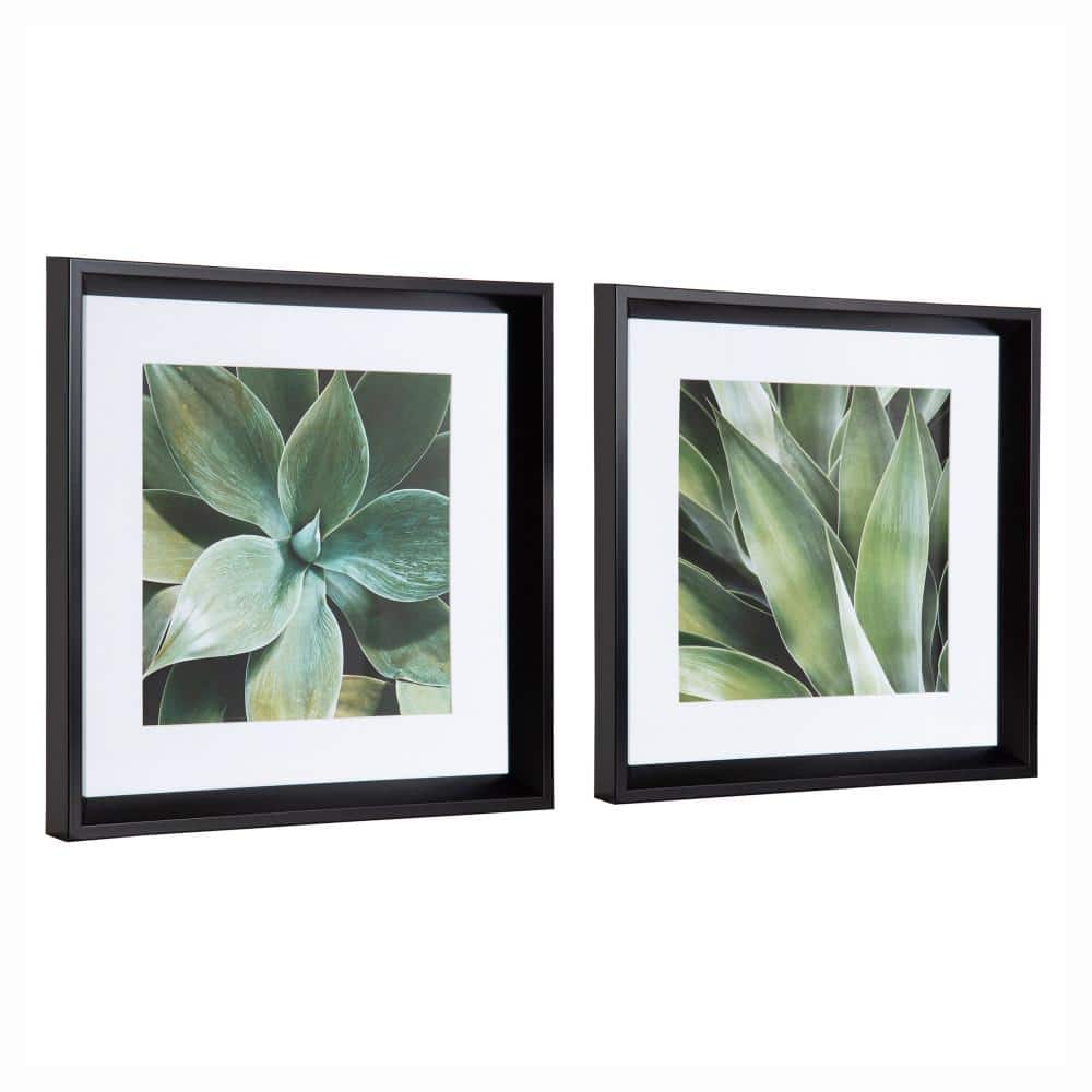 Green Succulent Leaves Framed Canvas Print Set