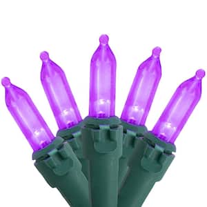 Set of 50 Purple LED Mini Christmas Lights with Green Wire