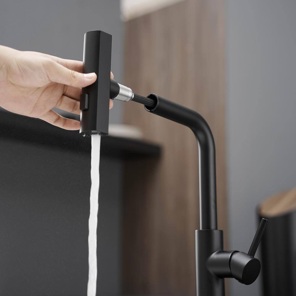 Matte Black Stainless Steel Pull Down Kitchen Faucet