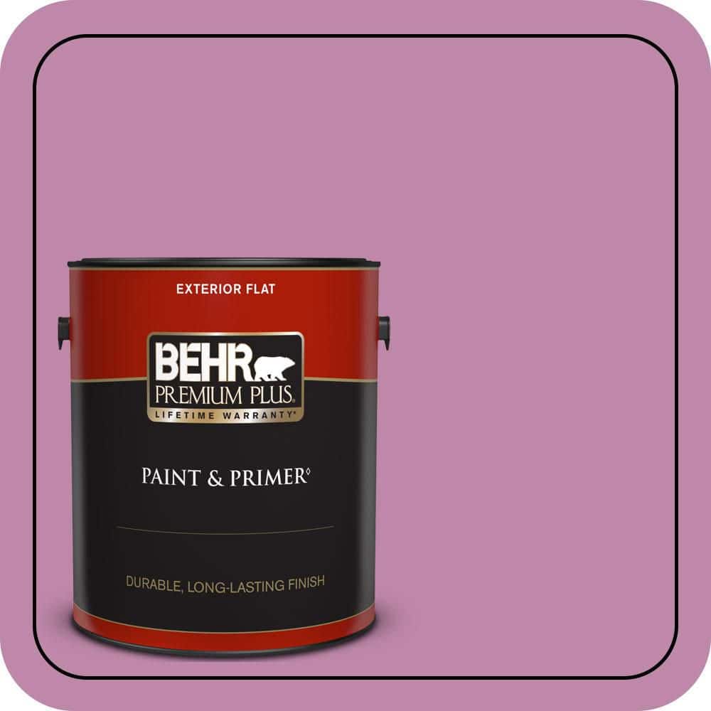1 gal. #M120-5 Rosy Flat Exterior Paint & Primer price history on PriceWatchPro