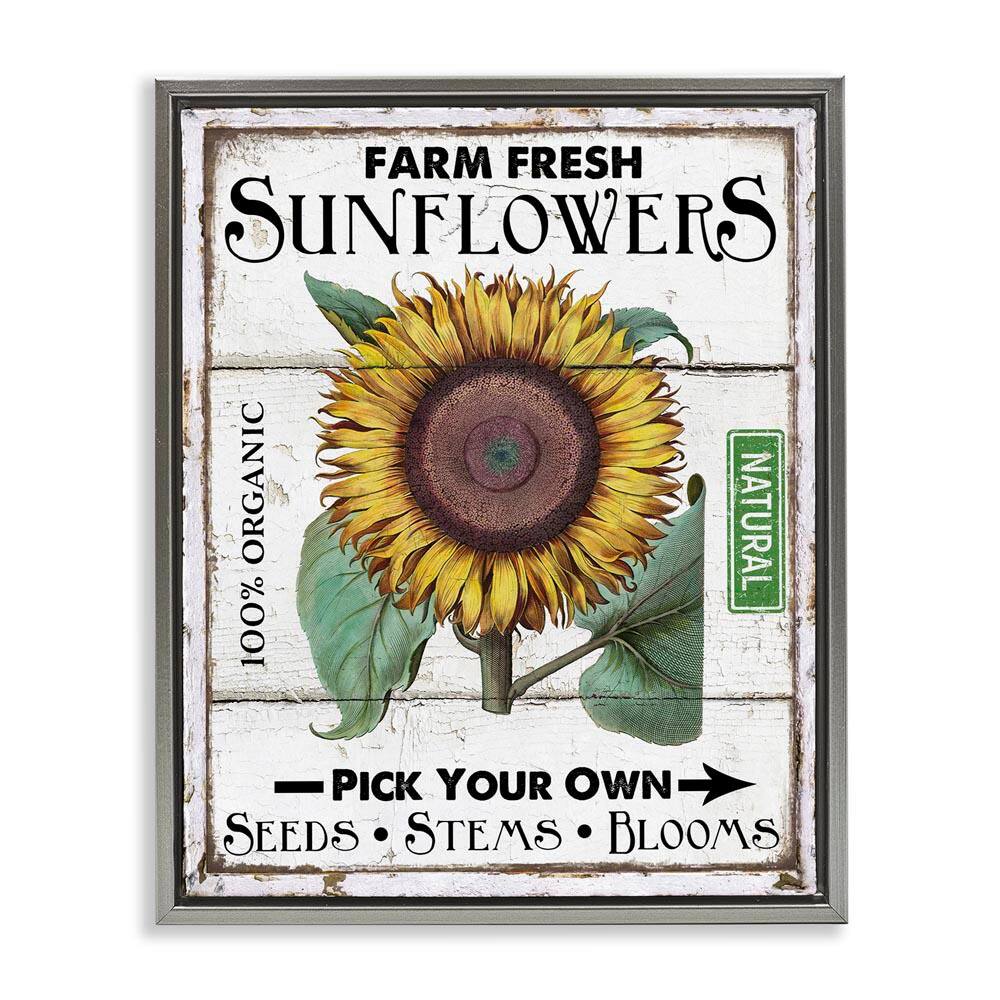 Rustic Farm Fresh Sunflowers by Creatif Belle Gray Floater Frame Nature Graphic Art Print 31 in. x 25 in. price history on PriceWatchPro