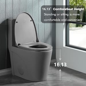 15 5/8 in. 1.1/1.6 GPF Dual Flush 1-Piece Elongated Toilet in Light Grey with Soft-Close Seat