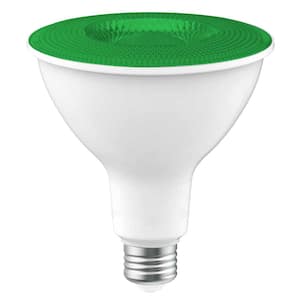 90-Watt Equivalent PAR38 Green Color Decorative Indoor/Outdoor E26 Medium Base LED Light Bulb (1-Pack)