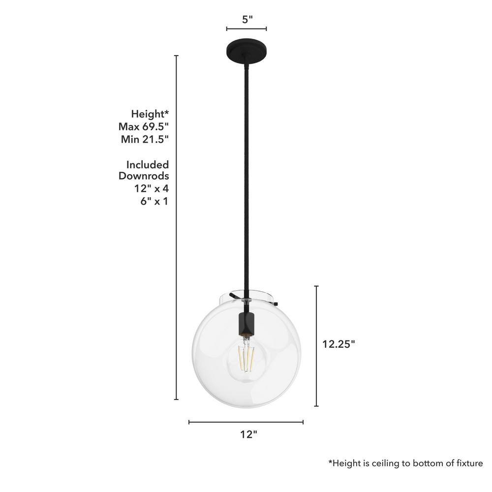 Black Iron and Clear Glass Globe Pendant Light