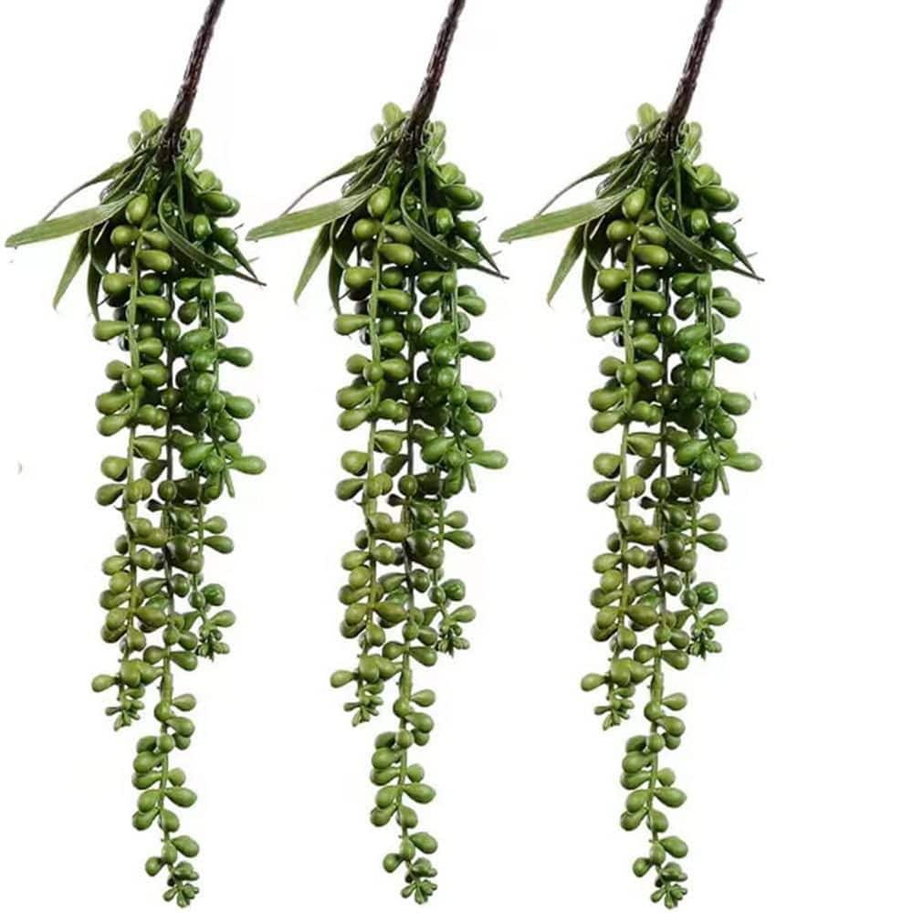 13.7 in. Purple Indoor Artificial Plant String of Pearls Hanging Succulent Plant 3 Pack for Home Decor price history on PriceWatchPro