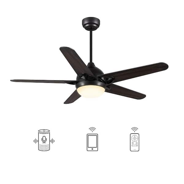 CARRO Sonnen 52 in. Dimmable LED Indoor/Outdoor Black Smart Ceiling Fan with Light and Remote, Works with Alexa/Google Home