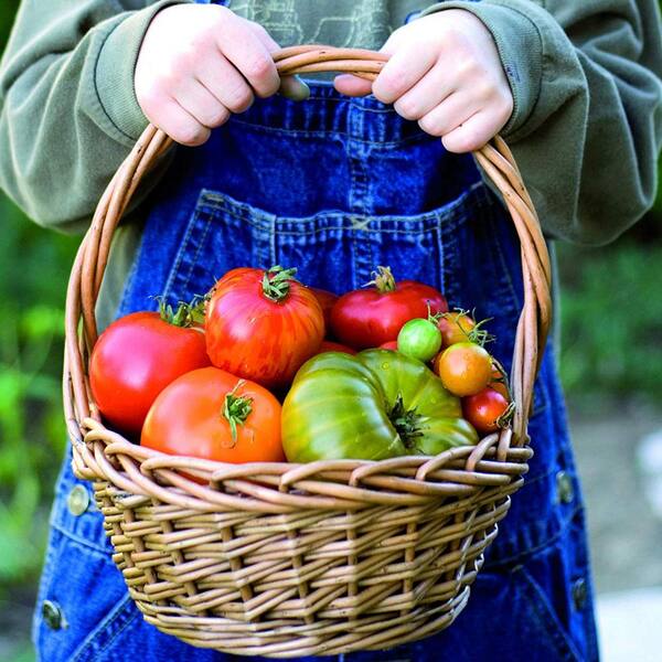 Dewitt Biodegradable Weed Barrier OMRI Certified Organic; Tomato Vegetable Herb 