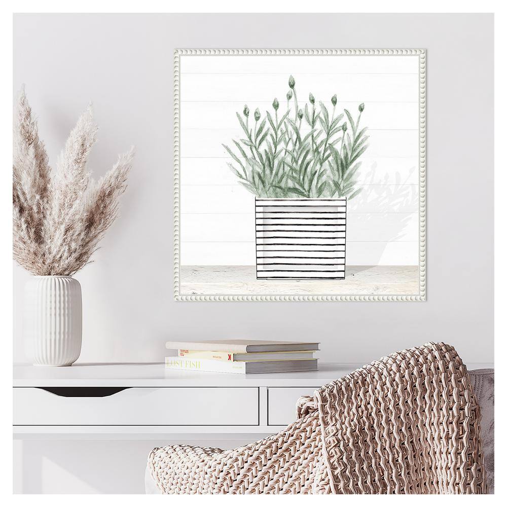 Lavender Blossom in Striped Pot Canvas Wall Art with White Frame