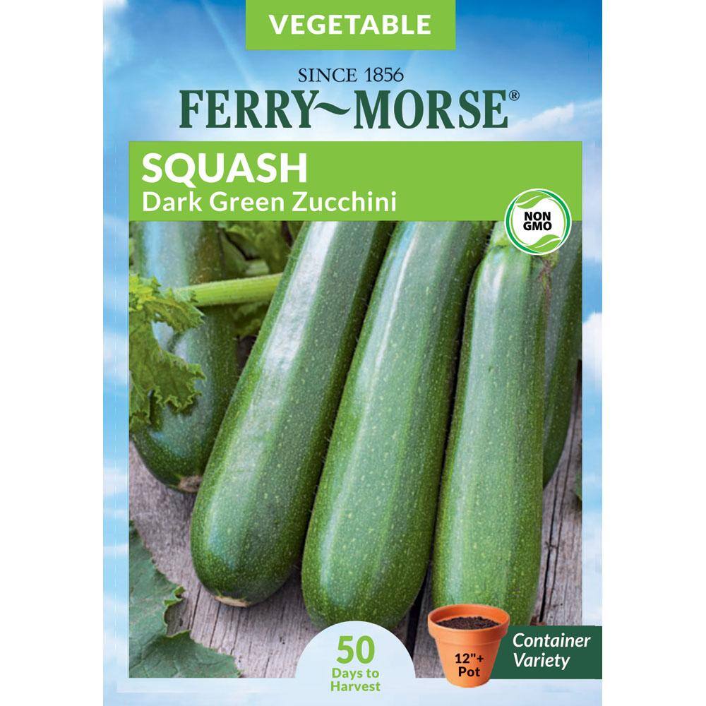 Ferry-Morse Squash Dark Green Zucchini Vegetable Seed X7680 - The