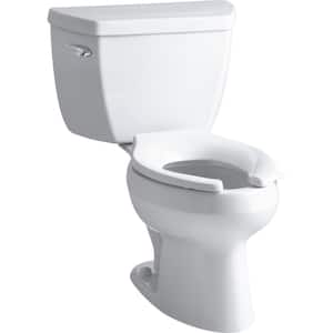 Wellworth 12 in. Rough In 2-Piece 1 GPF Single Flush Elongated Toilet in White Seat Not Included