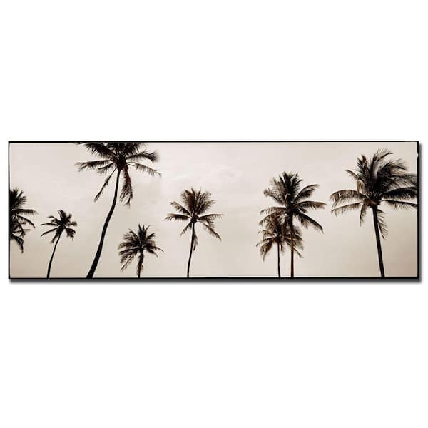 Trademark Fine Art 14 in. x 47 in. Black & White Palms Canvas Art
