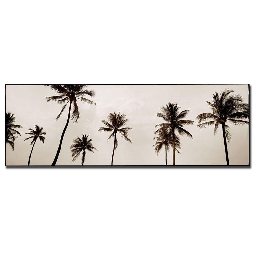 Modern Black and White Palm Trees Framed Canvas Art, 32" x 10"