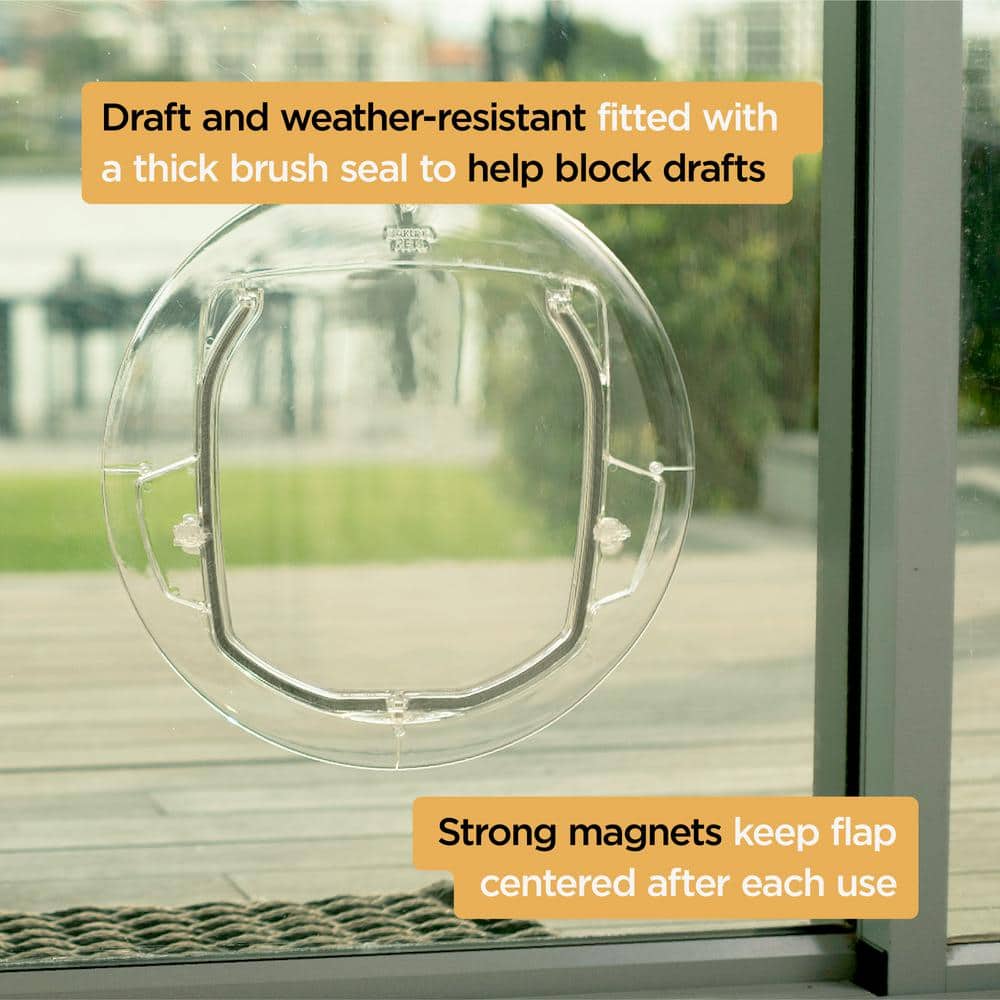 Small Clear Plastic Pet Door with Four-Way Lock