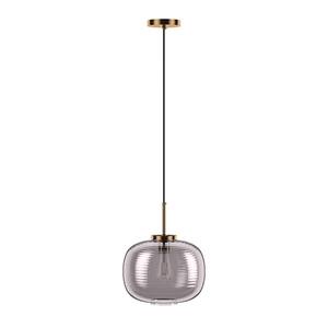 11.8 in. 1-Light Modern Globe Pendant Light Adjustable Ceiling Hanging Lighting with Glass Shade