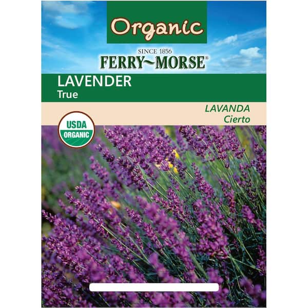 Lavender True Seed
