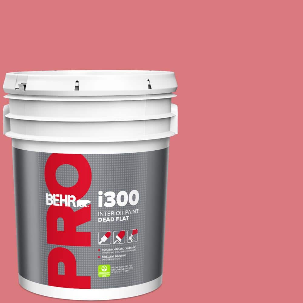 5 gal. #P160-4 Juicy Details Dead Flat Interior Paint price history on PriceWatchPro