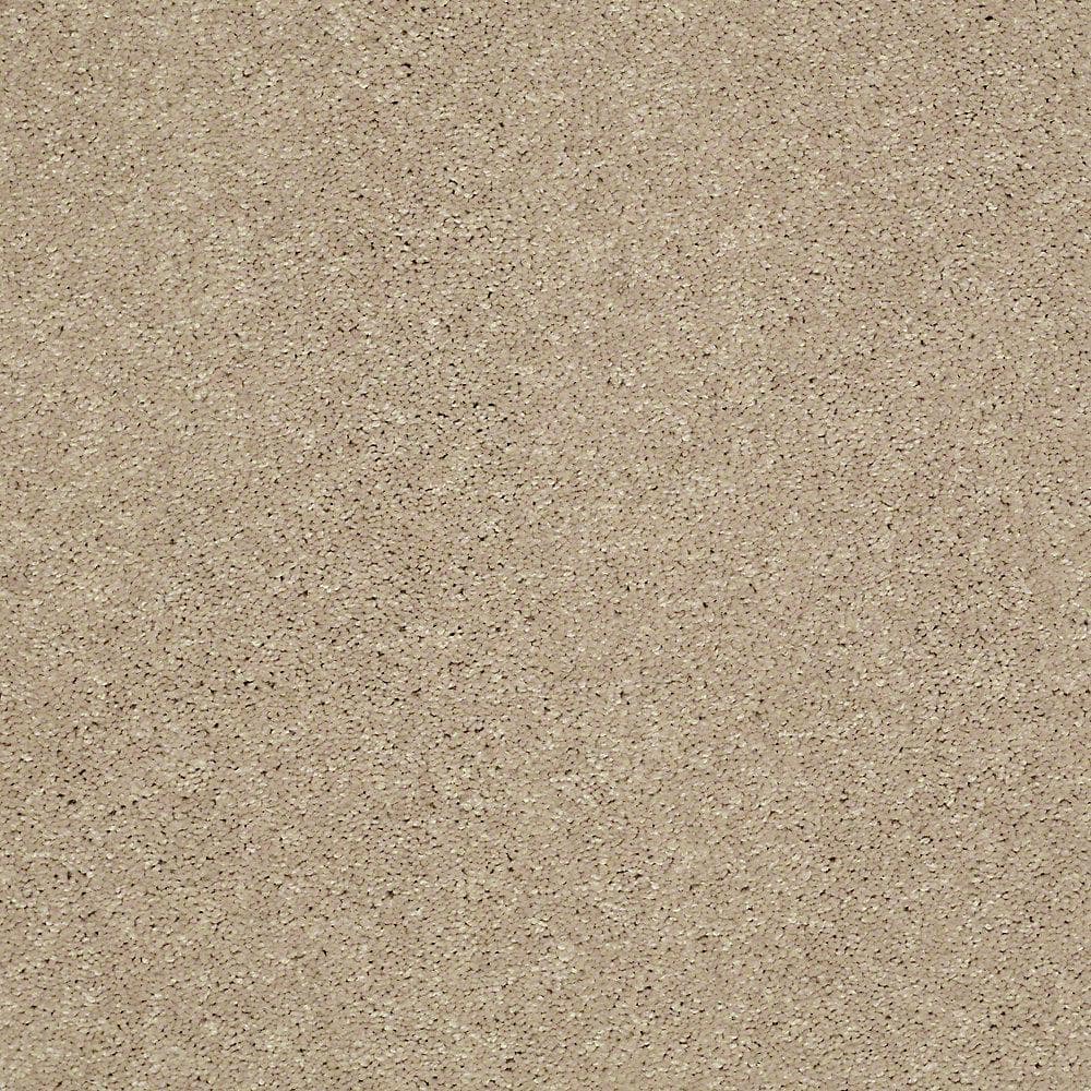 8 in. x 8 in. Texture Carpet Sample - Brave Soul II - Color Tasty Warm price history on PriceWatchPro