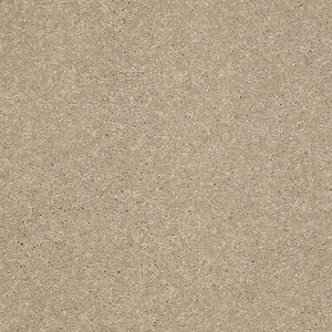 8 in. x 8 in. Texture Carpet Sample - Brave Soul II - Color Tasty Warm