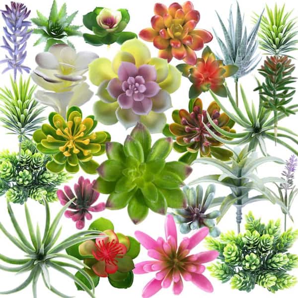 3.54 in 24 Pack Artificial Succulent Plants Green Indoor Outdoor Assorted Faux  Succulent Plant for Home Office Decor 59C1124D1916 - The Home Depot