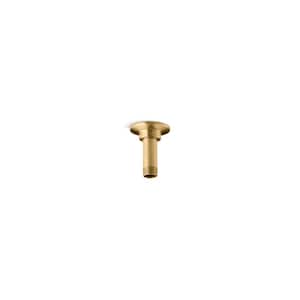 3.75 in. Ceiling Mount Shower Arm in Vibrant Brushed Moderne Brass