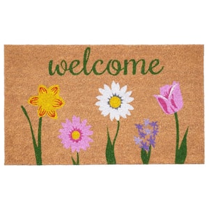 Carmine Indoor, Outdoor Door Mat 17 in. x 29 in.