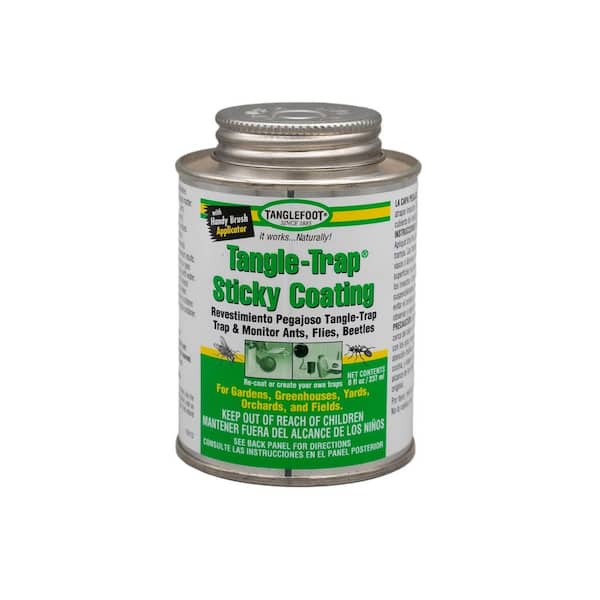 Tangle-Trap Sticky Coating 8 oz. Brush-Top-Trap and Monitor Ants, Flies, and Beetles