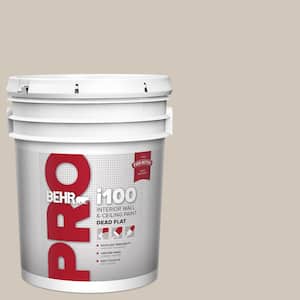 5 gal. #N210-2 Cappuccino Froth Dead Flat Interior Paint