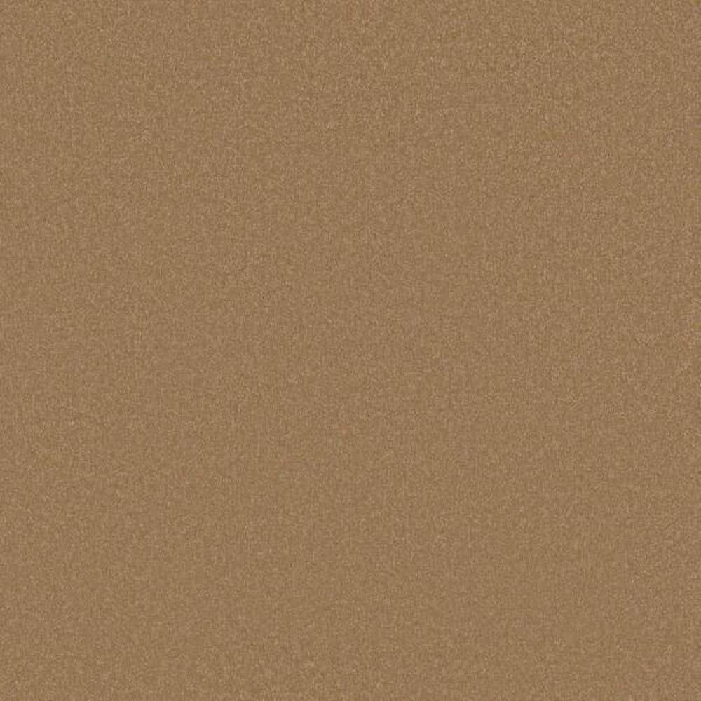 8 in. x 8 in. Texture Carpet Sample-Park Royal II-Color Solar price history on PriceWatchPro