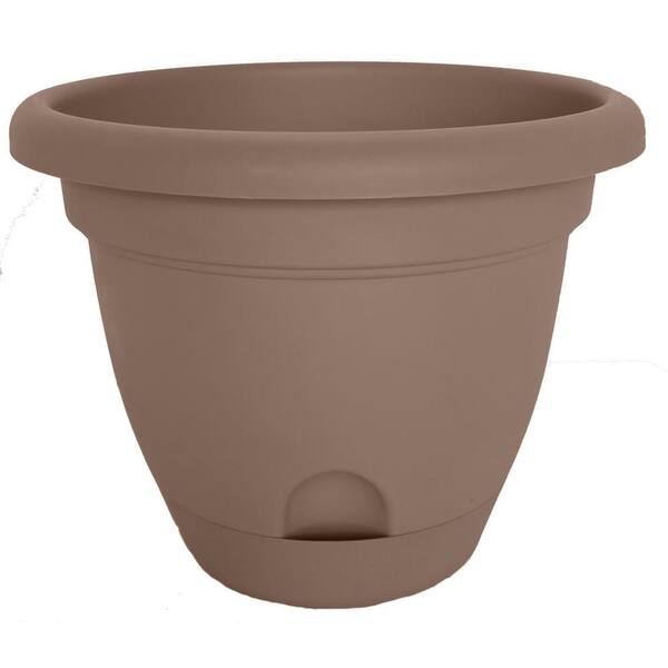 Bloem Lucca 12 in. Round Curated Plastic Planter (6-Pack)