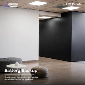 2x2 LED Back-Lit Panel, Adjustable Watt and CCT (4-Pack)
