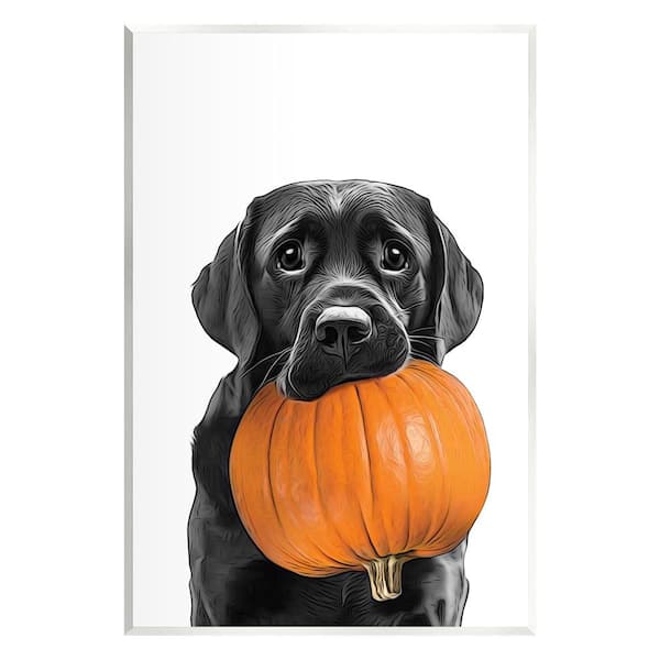 Stupell Industries Lab Dog with Pumpkin by Annalisa Latella 1 Piece Unframed Graphic Print Animal Poster Art Print 15 in. x 10 in.