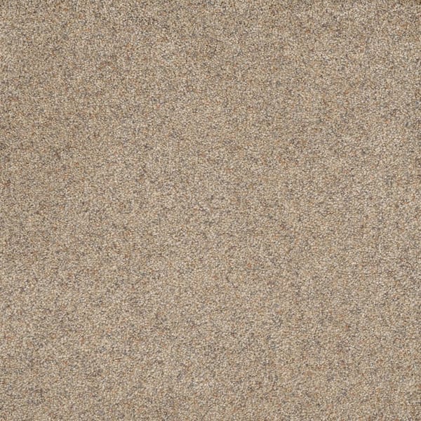 Home Decorators Collection Bradmore I - Kind - Beige 45 oz. SD Polyester Texture Installed Carpet