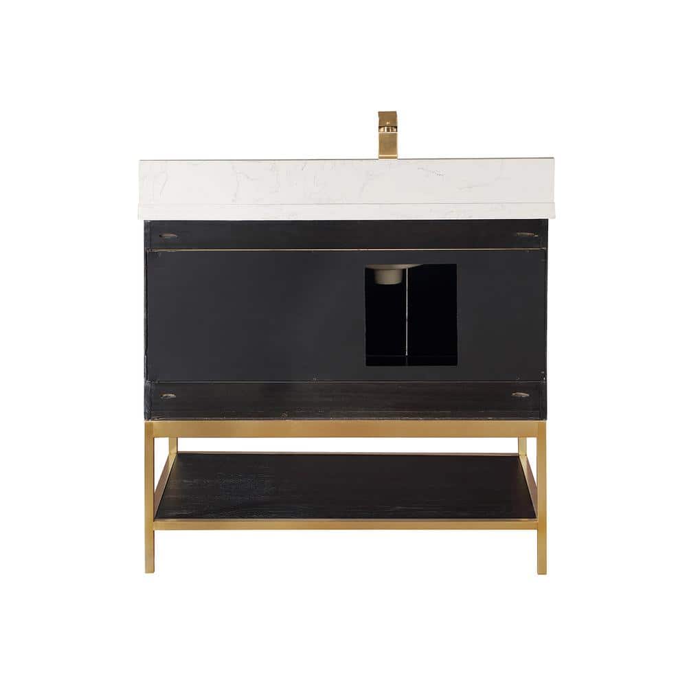 Wildy 36" Black Oak Single Sink Vanity with Gold Hardware